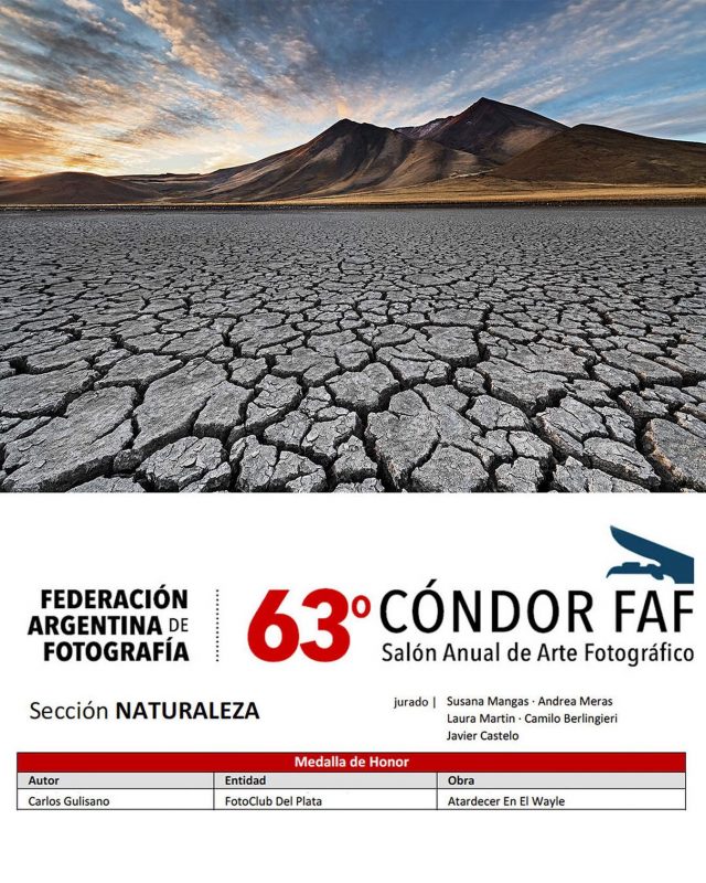 Última de las imágenes de este concurso Cóndor FAF 2021. Un atardecer sobre el Volcán Wayle con la laguna (seca) del Tromen al pie. Medalla de Honor en la categoría Naruraleza.  #fineart #fineartphotography #landscape #landscapephotography #travel #travelphotography #neuquen